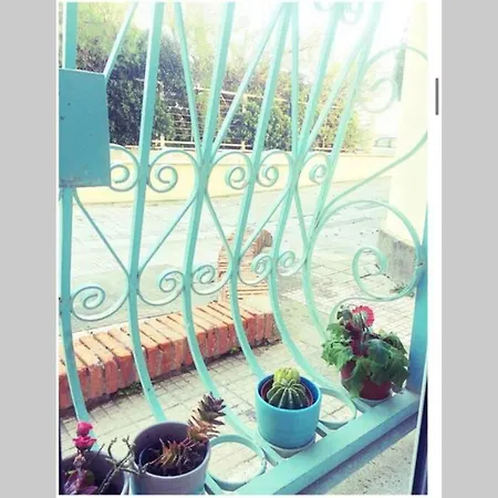 Cosy Studio Flat On The Seaside